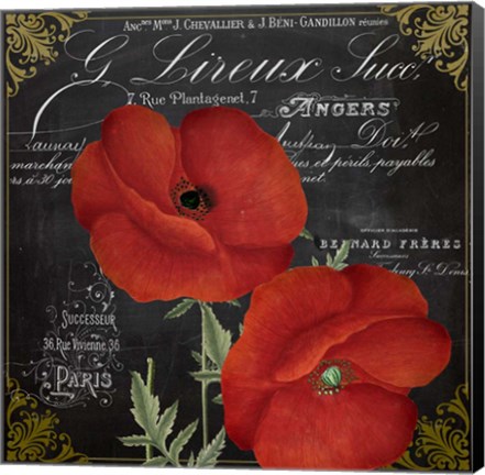 Framed Fleur du Jour I Print