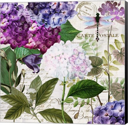 Framed Garden Glow I Print