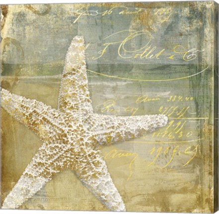 Framed Golden Sea IV Print