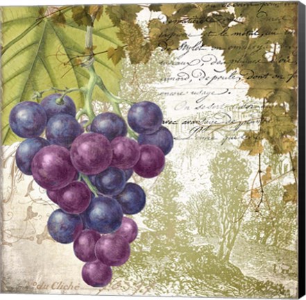 Framed Vigneto Print