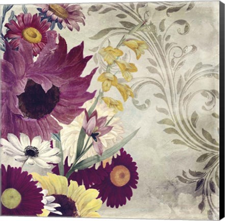 Framed Roussanne II Print