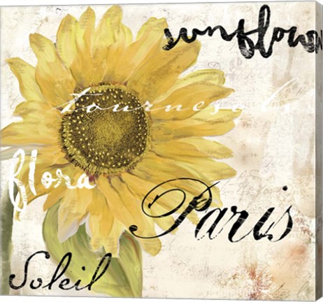 Framed Paris Songs I Print