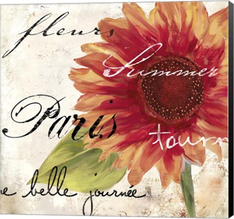 Framed Paris Songs II Print