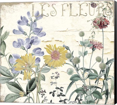 Framed Mirabelle II Print