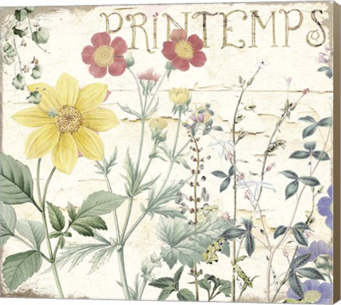 Framed Mirabelle III Print