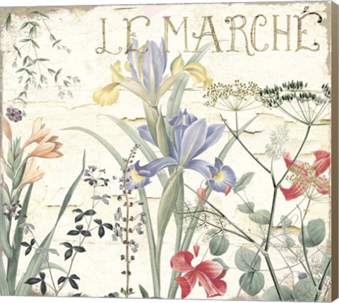 Framed Mirabelle IV Print