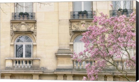 Framed Facade With Magnolia Print