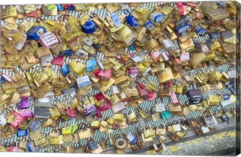 Framed Love Locks Print