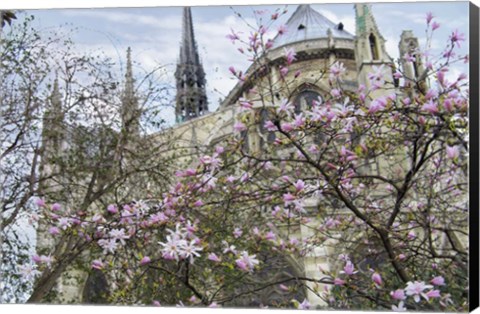 Framed Notre Dame de Paris III Print