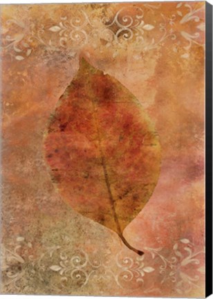 Framed Picked Up Autumn Leaf I Print