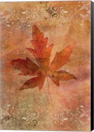 Framed Picked Up Autumn Leaf II Print