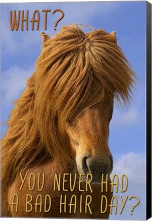 Framed Bad Hair Day Print