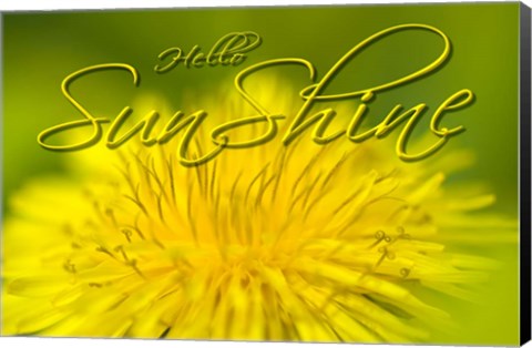 Framed Hellow Sunshine Print