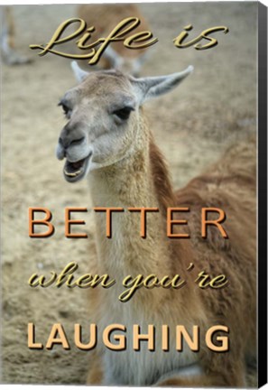 Framed Life Is Better Laughing Print