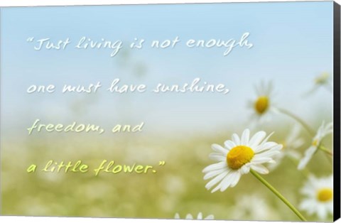 Framed Little Flower Print