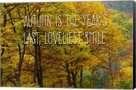 Framed Loveliest Smile Print