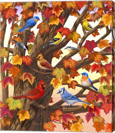 Framed Maple Tree Marvel Print