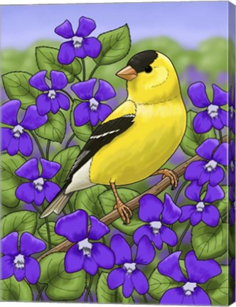 Framed State Birds And Flowers NJ Print