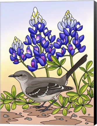 Framed State Birds And Flowers TX Print