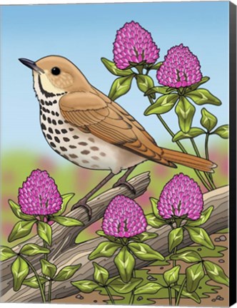 Framed State Birds And Flowers VT Print