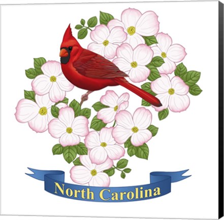 Framed State Bird And Flower NC Print