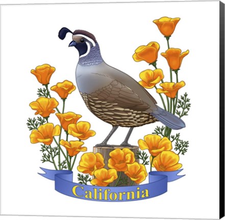 Framed State Birds And Flowers CA 2 Print