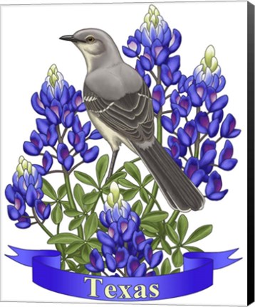 Framed State Birds And Flowers TX 2 Print