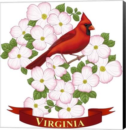 Framed State Birds And Flowers VA 2 Print