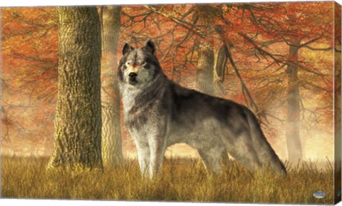 Framed Wolf In Autumn Print