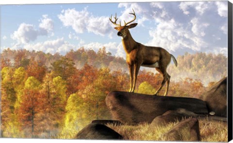 Framed Buck Over Autumn Valley Print