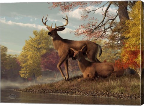 Framed Deer On An Autumn Lakeshore Print