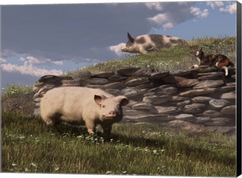 Framed Free Range Pigs Print