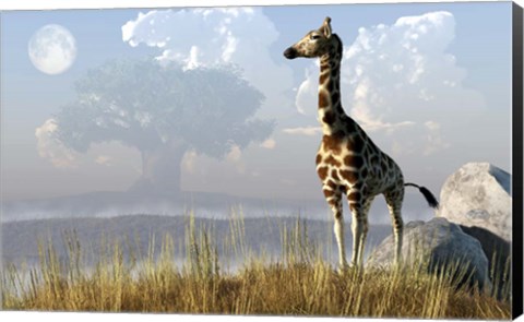 Framed Giraffe And Giant Tree Print