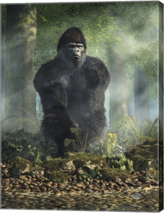 Framed Gorilla Print