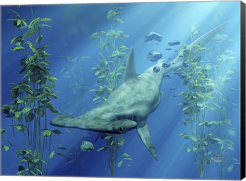 Framed Hammerhead Art Print