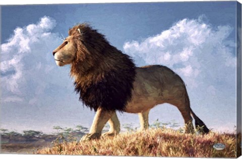 Framed Impressionist Lion Print