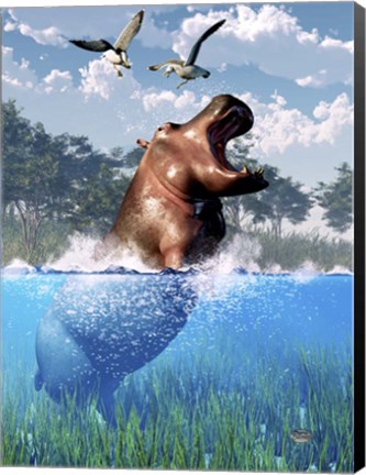 Framed Lunging Hippo Print