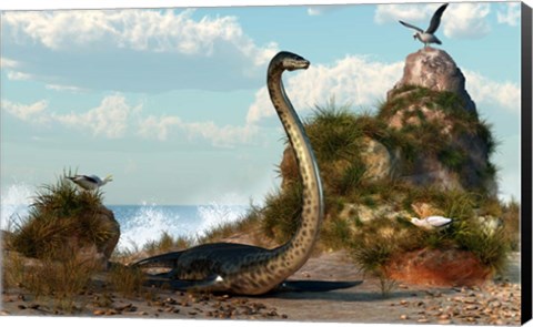 Framed Sea Monster On The Beach Print