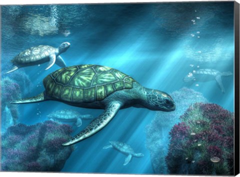 Framed Sea Turtles Print