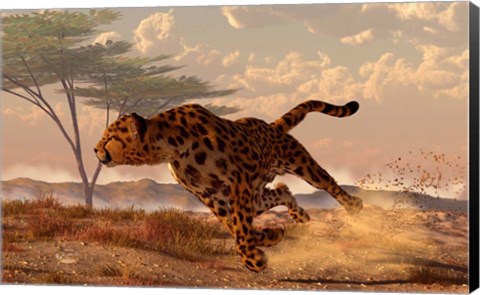 Framed Speeding Cheetah Print