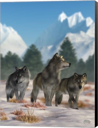 Framed Three Wolves Print