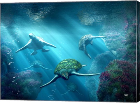 Framed Turtle Alley Print