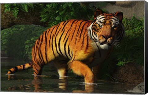 Framed Wading Tiger Print