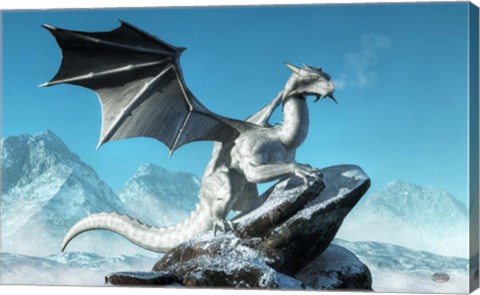 Framed Winter Dragon Print
