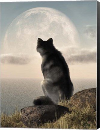 Framed Wolf Watching The Moonrise Print