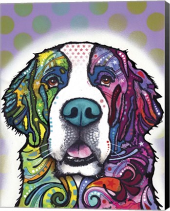 Framed Saint Bernard Print