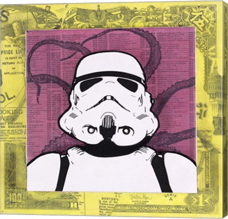 Framed Stormtrooper Print