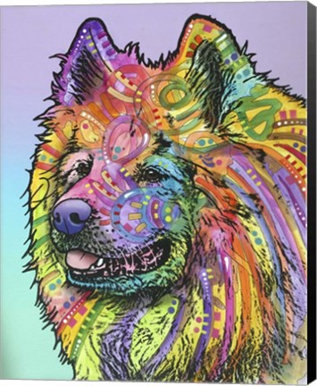 Framed Samoyed Print