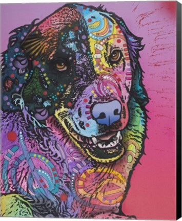 Framed Splatter Print