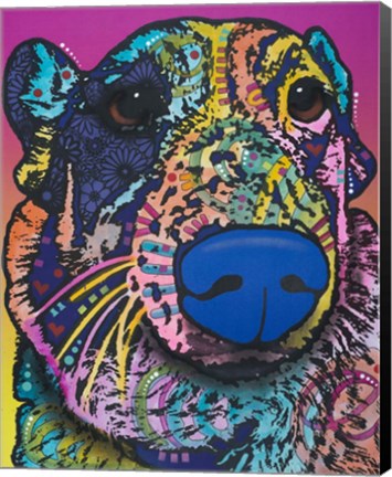 Framed Oliver 16 Print